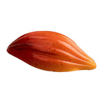 Martellato Theobroma Praline Polycarbonate Chocolate Mould, 16 Cavities