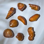 Chocolate World Diamonds of the Sea Polycarbonate Chocolate Mold – 22 Assorted Faceted Sea Creature Cavities