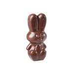 Chocolate World Modern Rabbit 99.5mm Polycarbonate Chocolate Mold – Book-Match Double Mold, 2 Cavities