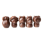 Chocolate World The Big Five (5 Figures Assortment) Polycarbonate Chocolate Mold – ~1.57 x 1.18 x 0.39 in, 20 Cavities