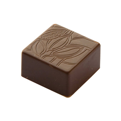 Chocolate World Praline Square Texture Cocoa Bean Polycarbonate Chocolate Mold – ~1.18 x 1.18 x 0.39 in, 24 Cavities