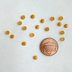 Sweetapolita Teeny Tiny Gold Sequins 90g
